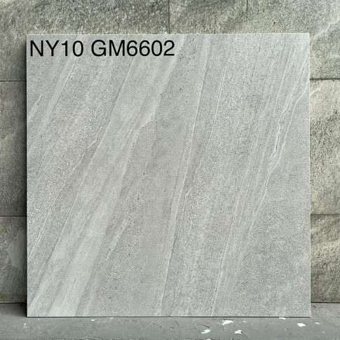 GM6602-NY10