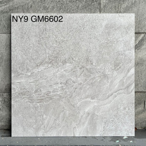 GM6602-NY9