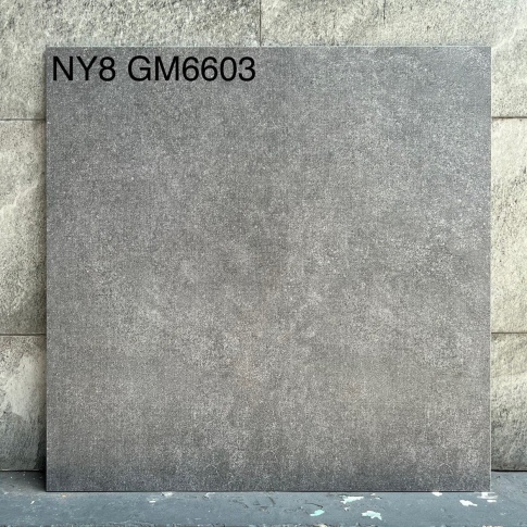 GM6603-NY8