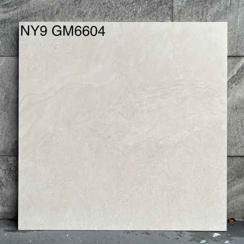 GM6604-NY9