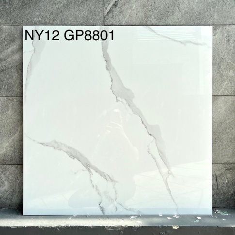 GP8801-NY12