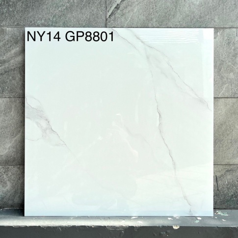 GP8801-NY14