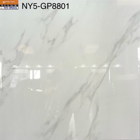 GP8801-NY5