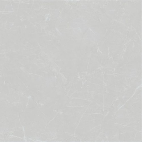 M6005