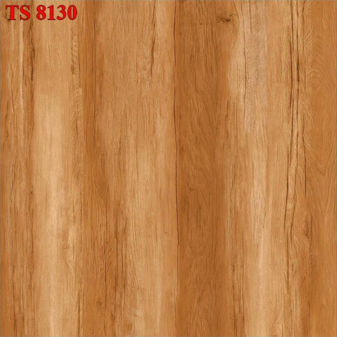 TS8136