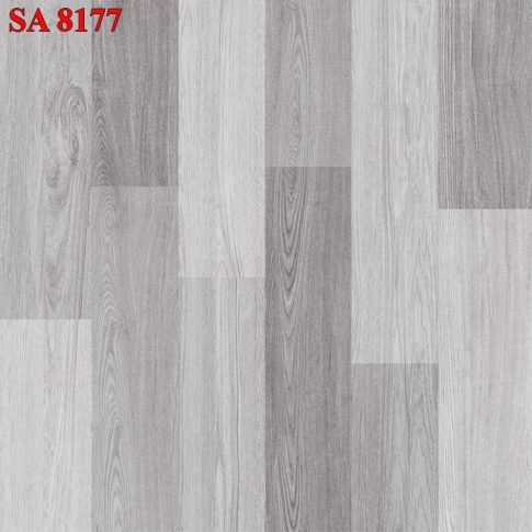 TS8177
