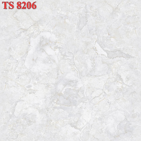 TS8206