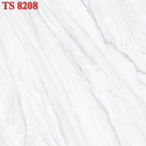 TS8208